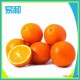 长期供应 二级礼品装赣南橙 营养有机赣南橙