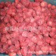 特价 供应2013年速冻草莓25-35 15-25 欢迎致电订购【图】