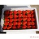 现摘新鲜草莓批发 新鲜有机纯天然无公害鲜草莓450g 四川草莓