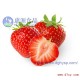 专业提供无公害草莓 各类水果 丹东特产