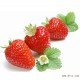 新鲜国产优质红颜草莓 无公害草莓 个大味浓多汁 批发大量供应