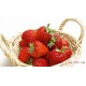供应新鲜草莓 质优价廉 欢迎求购