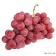 批发新鲜红提 美国三级红提 进口提子红葡萄有籽红提 新鲜水果