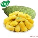 海南新鲜水果 三亚菠萝蜜 马来西亚菠萝蜜 特带特产正宗大树菠萝