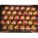 特价批发荷兰红啤梨 进口水果 sweet dored pear二级果 65-70