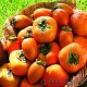 产地批发秋季新鲜柿子农家自产方柿子 硬皮青色脆甜柿