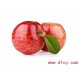 智利苹果皇后 姬娜苹果 水果 进口嘎啦苹果 新鲜水果批发