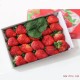 产地预售 四川优质新鲜双流草莓 无公害草莓甜草莓开心草莓