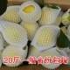 柠檬语/四川资阳特产/新鲜安岳黄柠檬/多维美白水果产地20斤包邮