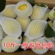柠檬语/四川资阳特产/新鲜安岳黄柠檬/美白水果产地10斤部分包邮