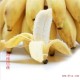 海南时令水果香蕉芭蕉树上熟 无催熟剂