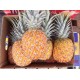 供应批发品种海南水果产特级的香水菠萝 新鲜水果