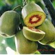 “水果之王“红阳猕猴桃，富含维生素C