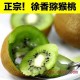 正宗江山徐香猕猴桃 高山新鲜水果奇异果绿色有机产地12元一公斤