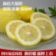 新货 四川安岳新鲜黄柠檬包邮 2斤尤力克 柠檬 新鲜水果