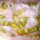 皇帝蕉，泰国小米蕉  水果批发团购 新发地南粤大地公司