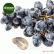 【菓蔬递】智利黑提天然绿色 新鲜水果进口葡萄顺丰