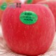 富岗苹果 红富士水果有机苹果酸甜适口批发零售全程冷链厂家直销