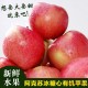 阿克苏红富士苹果批发 新疆新鲜水果冰糖心苹果厂家直销12斤/箱
