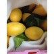 广州批发进口新鲜泰国空运枇杷芒黄果小芒果青芒果一箱5斤