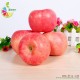 烟台苹果批发 特级85MM红富士苹果48只 免邮30斤水果超市专供
