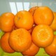 浙江特产衢州椪柑新鲜水果芦柑橘子原生态不抛光不打蜡农家直销