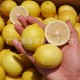 现货 安岳尤力克柠檬品种 新鲜 黄柠檬 自有种植基地 柠檬批发