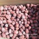 大批量供应1级新疆若羌红枣 20斤装天然新疆红枣