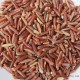 散装有机红米500g 红米 农家红大米 长粒有机杂粮 有机红粳米