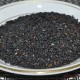 熟黑芝麻 黑芝麻 低温烘焙 五谷磨房原料 五谷杂粮批发 现磨豆浆