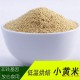 春雷 熟小黄米 五谷杂粮小米原料批发 低温烘焙五谷杂粮2.5kg