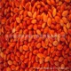黍子---长期大量供应黍子(红，黄，黑)