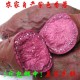 新鲜紫薯 农家自产紫薯 地瓜 紫色番薯 紫心红薯 紫薯