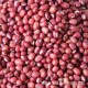 红豆 五谷杂粮 豆浆原料 优级赤豆批发 最新到货  限时9折