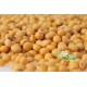 供应低温烘焙 熟黄豆2.5KG/包 黄豆批发 现磨五谷豆浆原料