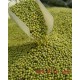 【五谷杂粮】东北优质 绿豆 50斤/袋 清热解毒 喝“绿豆汤”