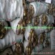 供应批发广西桂林农副产品荔浦香芋头芋头种子