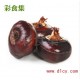 桂林水果马蹄 荸荠 5A级10斤 一斤约12至18个顺丰陆运