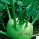 蔬菜种子*花仙子彩包种子 苤蓝（约50粒）H748
