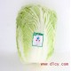 绿色食品蔬菜 净菜 蔬菜礼盒 加工 燎原绿色大白菜 寿光蔬菜基地