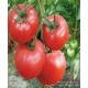 高山西红柿自然熟 放心蔬菜新鲜西红柿番茄有机西红柿基地批发