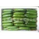 批发上海青浦荷兰黄瓜 新鲜水果进口代理小乳瓜蔬菜瓜大果 #10斤