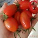 批发丹东东港99草莓地409小柿子 圣女果纯生态水果小柿子5斤装