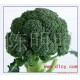 【绿色蔬菜】供应西兰花及各种蔬菜(图)