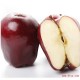 新鲜苹果水果基地直供 新鲜红蛇果批发 红苹果 新鲜水果批发