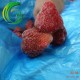 大量供应出口级优质冷冻草莓/単冻草莓15-35mm