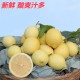 新鲜尤力克黄柠檬 不打蜡 1斤约4个 精选 四川安岳特产批发特供