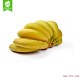 广西特产一件代发 南宁坛洛香蕉 新鲜水果 香蕉批发 24斤一箱