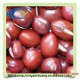 红小豆农家特产 易煮烂红豆  出口专供 非转基因 优质 红小豆