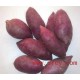 新鲜紫薯 农家自产紫薯 地瓜 紫色番薯紫心红薯 批发直销